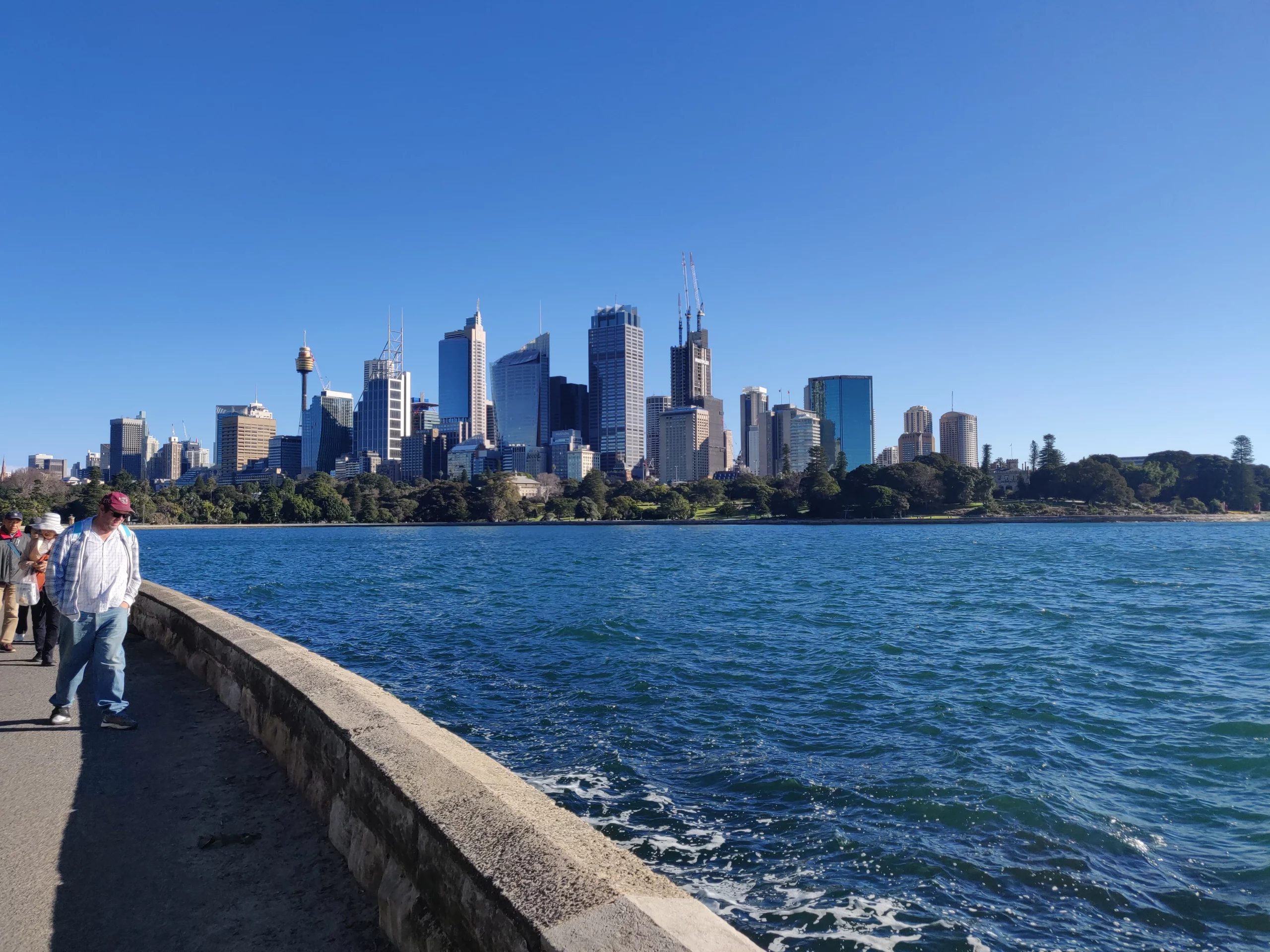 Une vue de la ville de sydney, on peut en faire la découverte en traversant les jardins botaniques situés non loin de l'Opéra