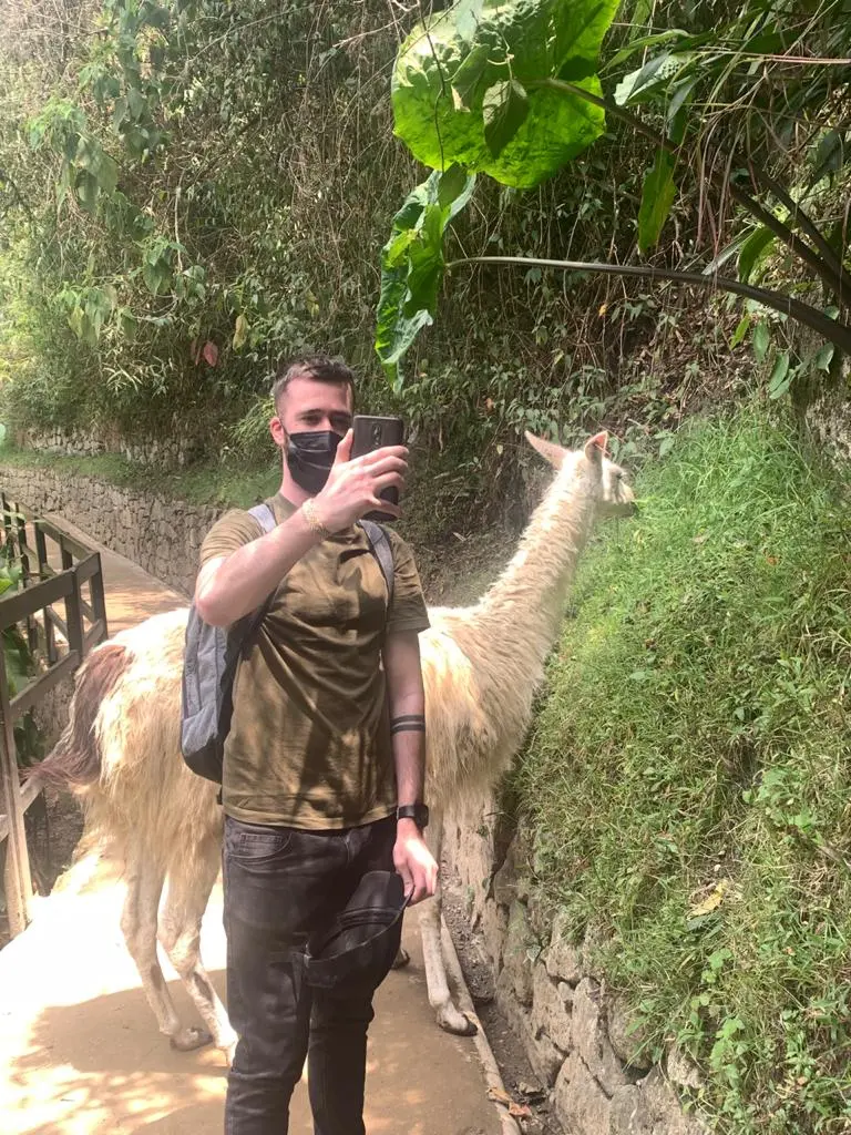 Que faire à cusco ? prendre une photo avec un lama