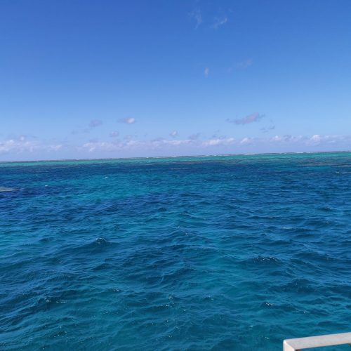 La Grande Barrière de Corail